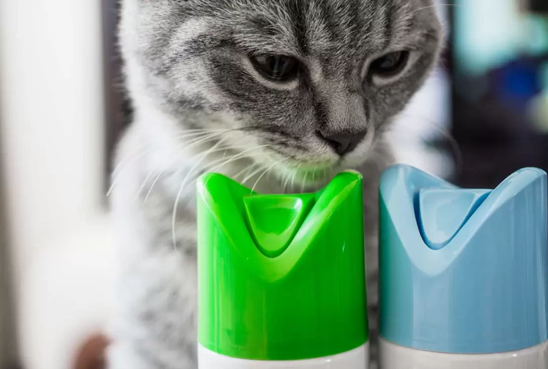 Those Pleasant Pheromones for Cats Smell are Nature's Air Freshener: