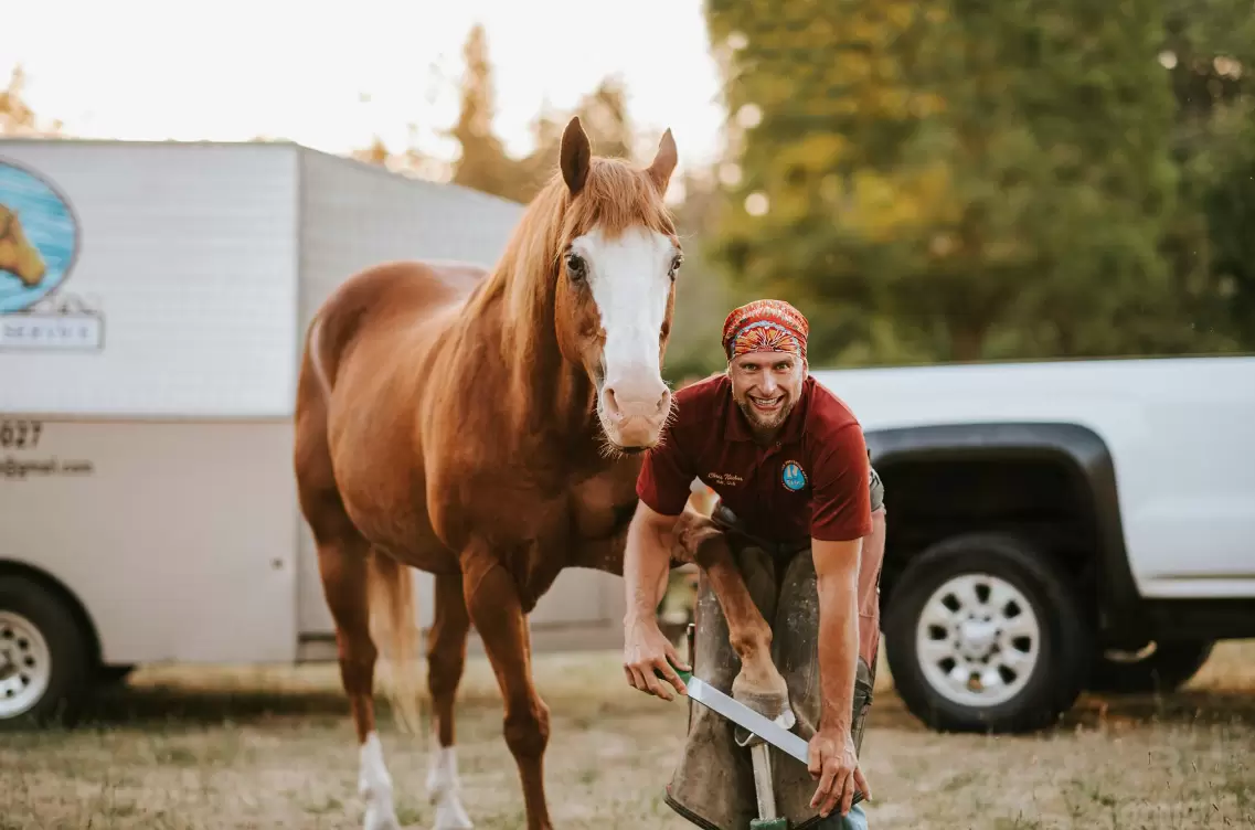 farrier services of horse