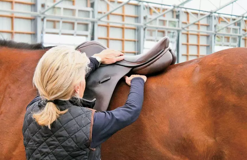 saddle fitters