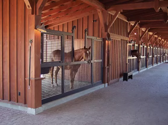 Build a Horse Stall