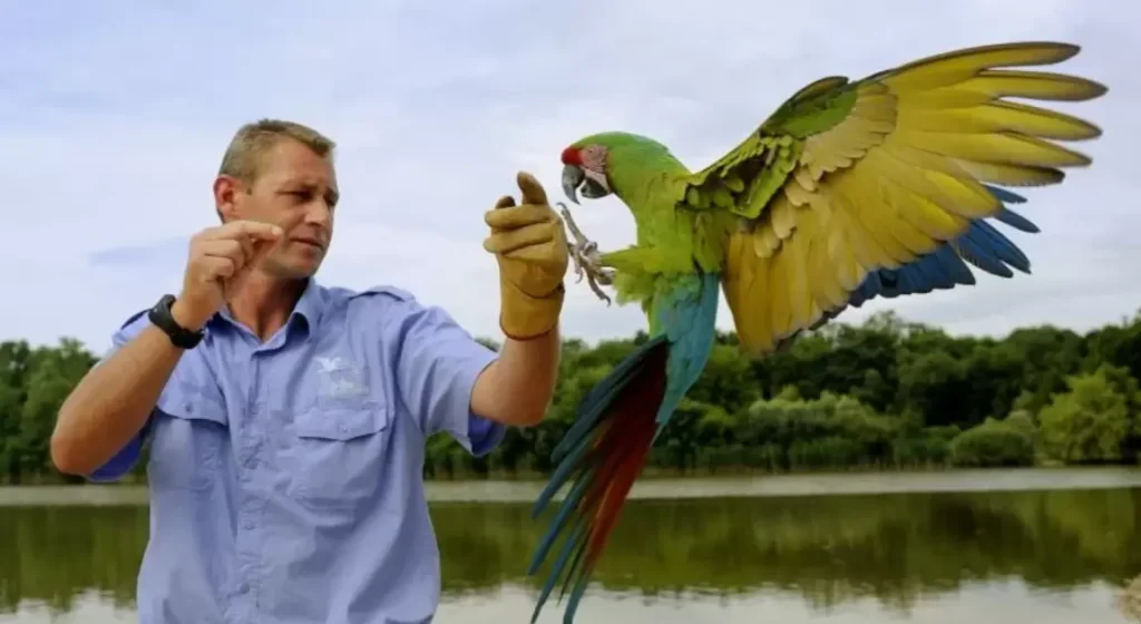 parrot experts