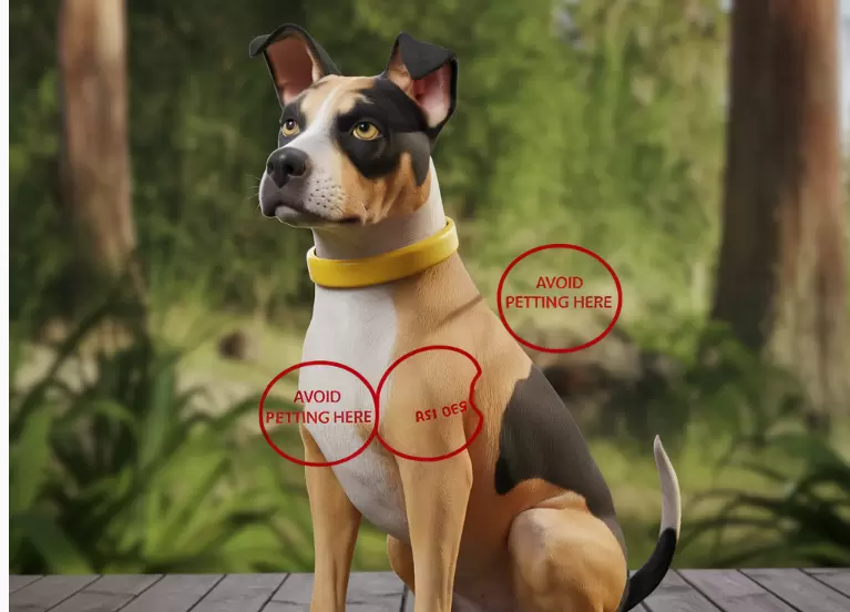 Areas to Avoid When You Pet a Dog Safely