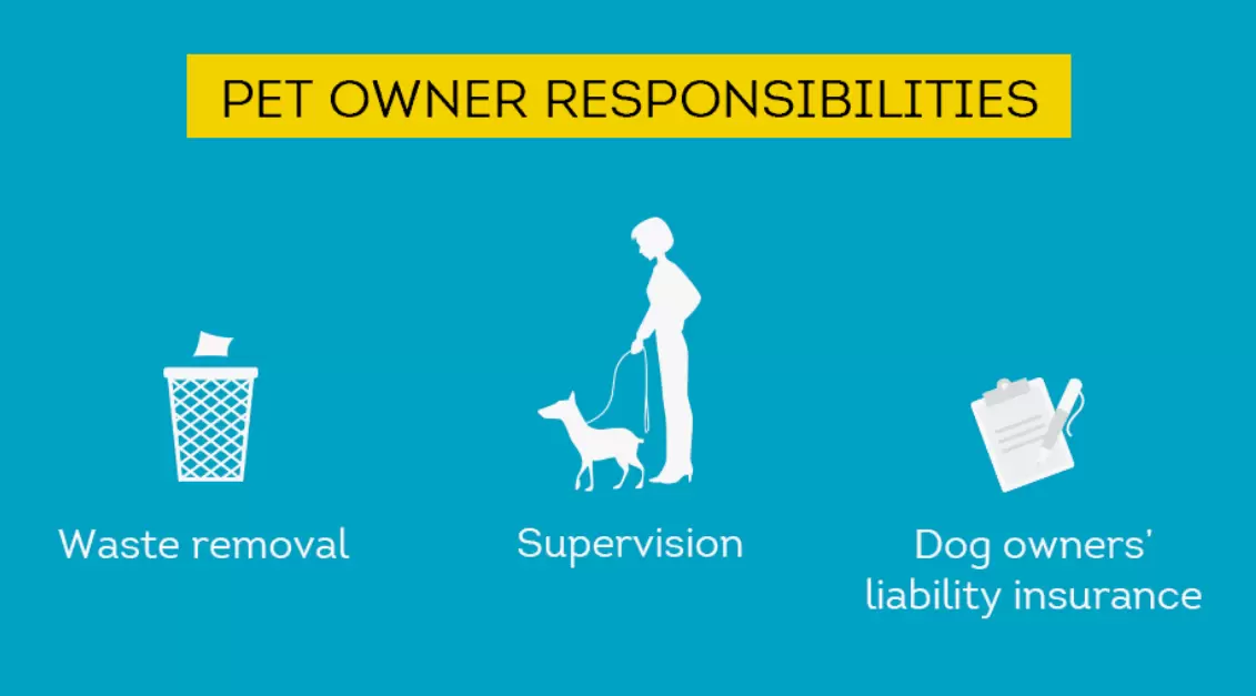 Responsible Pet Care