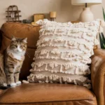 Protect Leather Couch From Cats